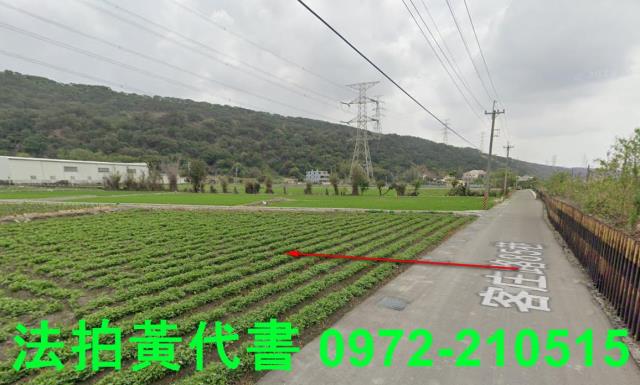 清水拍賣農地-11