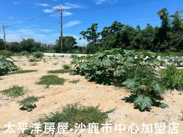 沙鹿建地-3