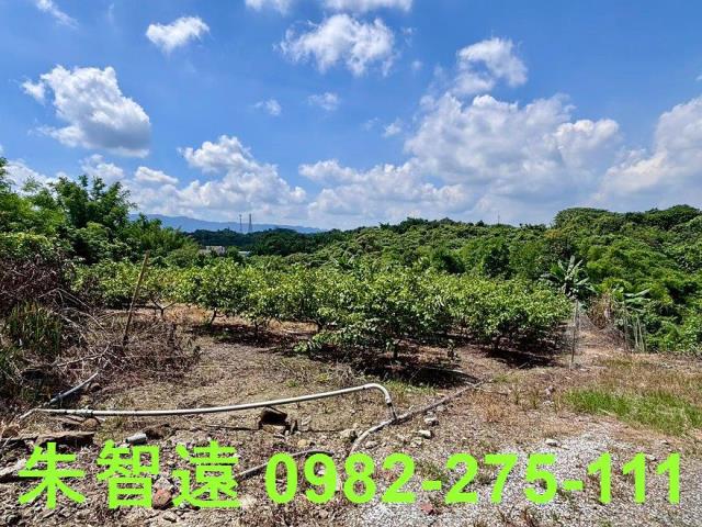 玉井建地-2