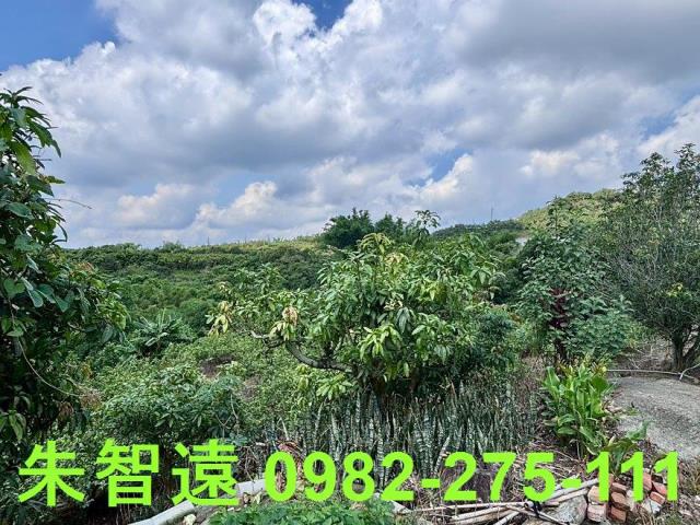 玉井建地-4
