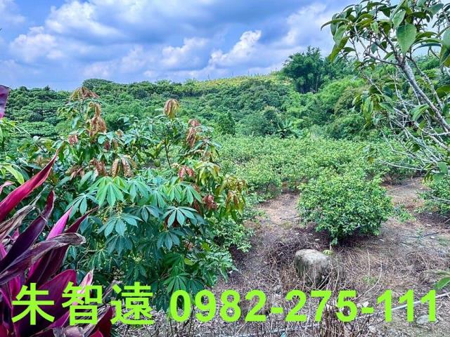 玉井建地-6