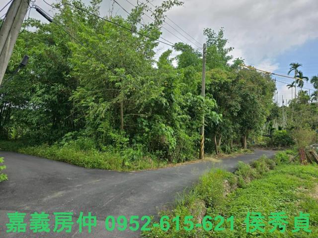 嘉義民雄建地-7