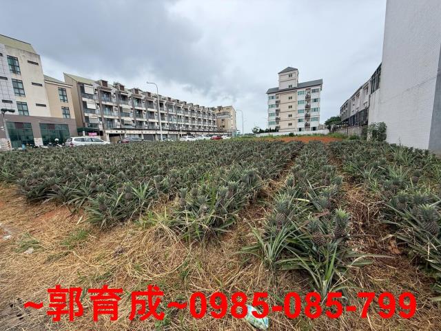 民雄建地-3