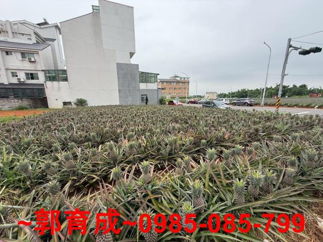 民雄建地-6