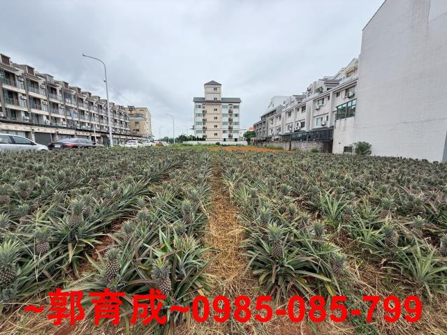 民雄建地-7