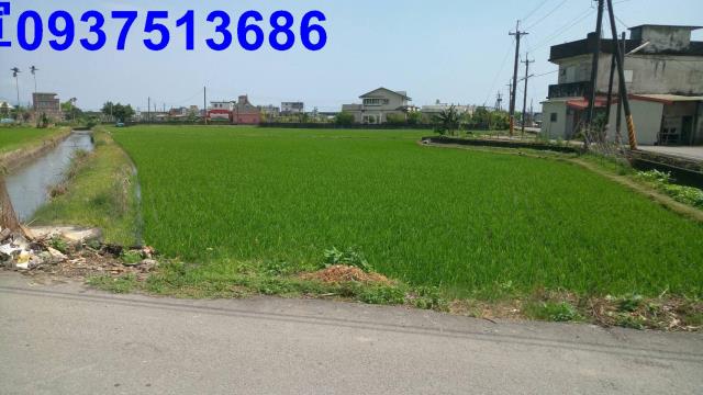 壯圍農地-3