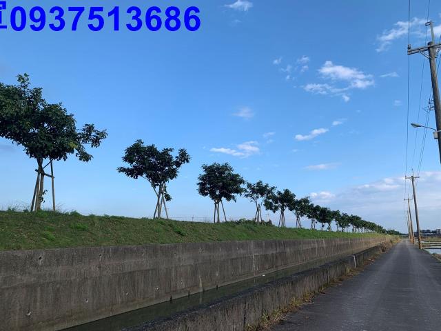 壯圍農地-9