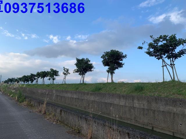 壯圍農地-8