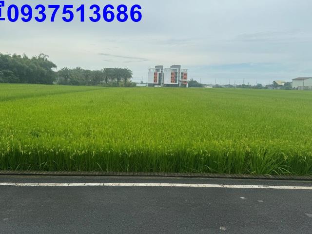 壯圍農地-2