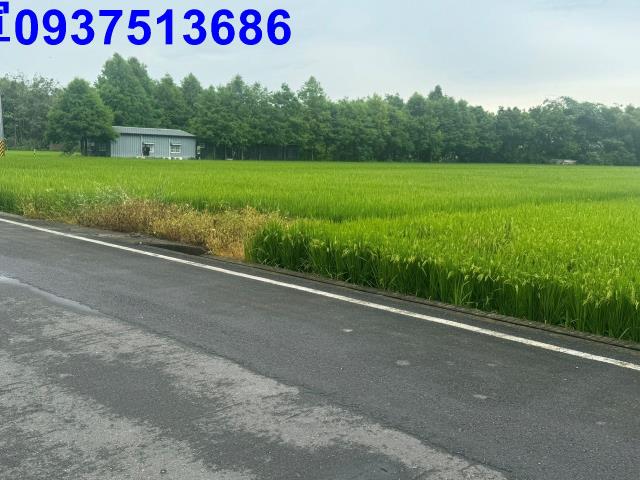 壯圍農地-4
