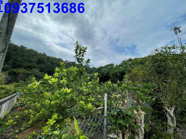 員山農地-9