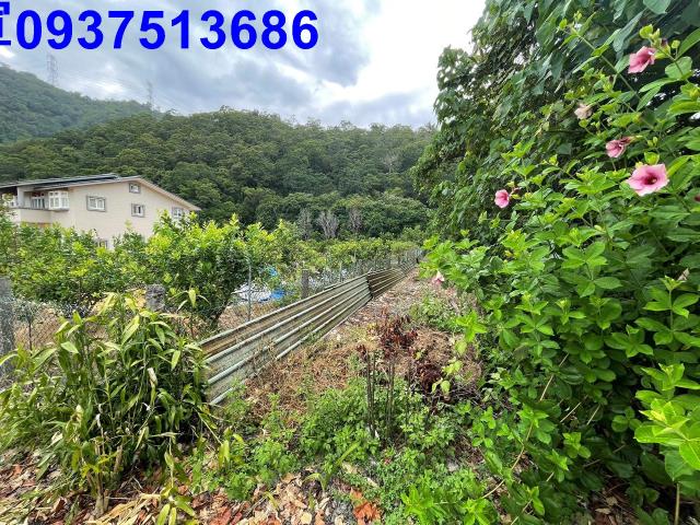 員山農地-5