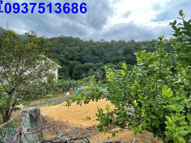 員山農地-7