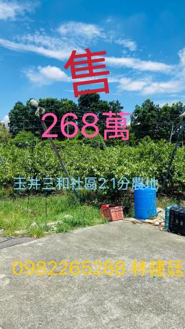 台南玉井農地-0