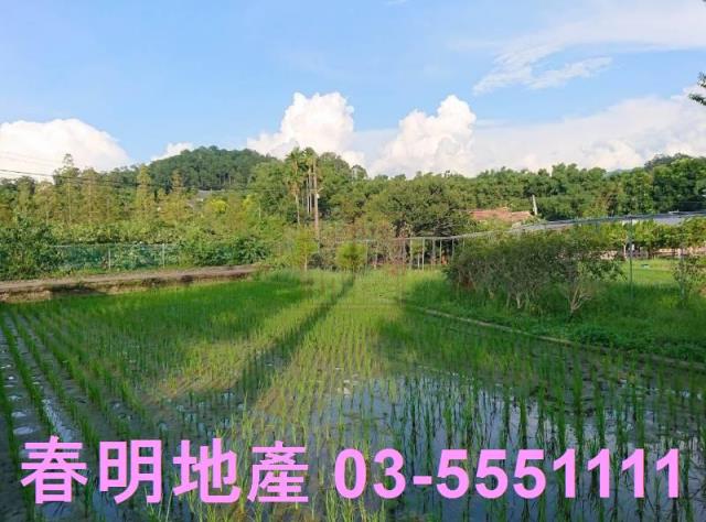 新竹北埔農地-3