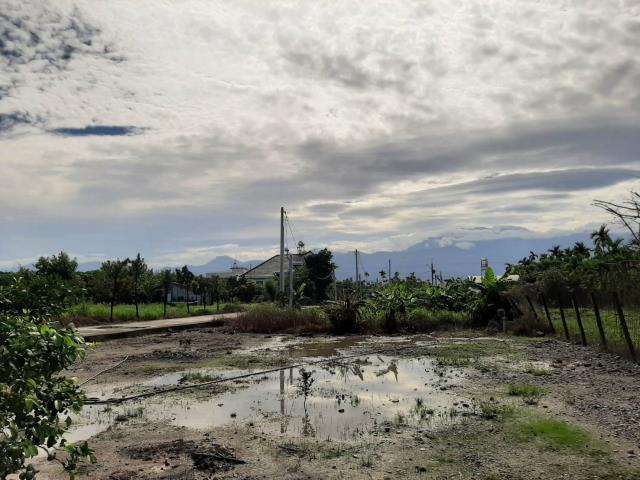 內埔農地-4