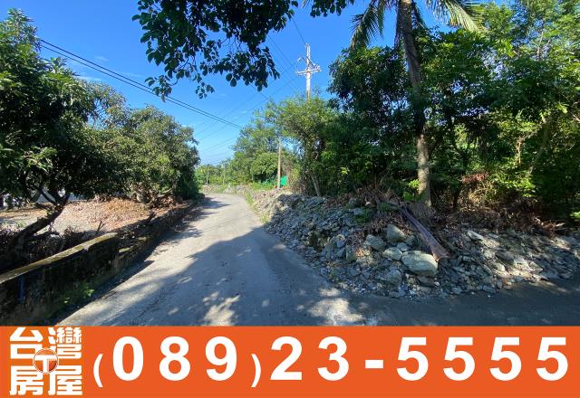 台東農地-4