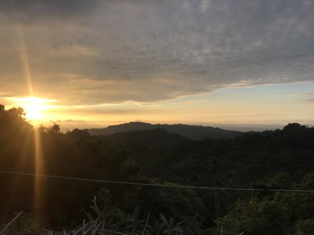 台中太平農地-10