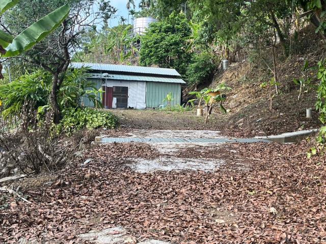 台中太平農地-14