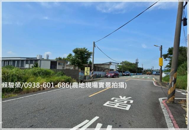 觀音育仁國小美農地