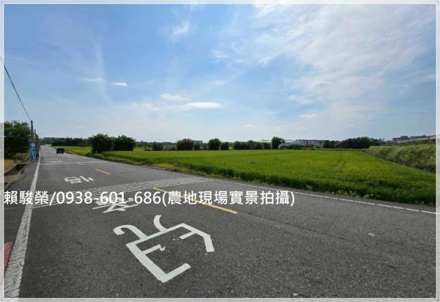 觀音育仁國小美農地