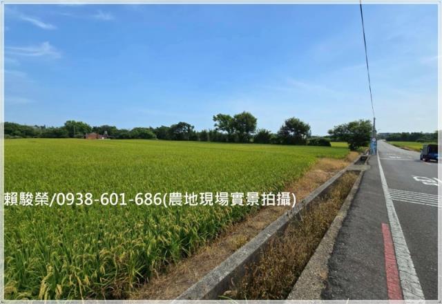 觀音育仁國小美農地