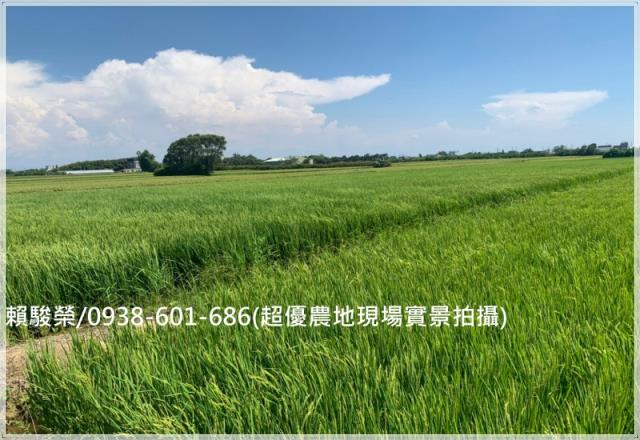 新屋華興路超值美農地