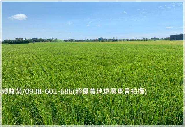 新屋華興路超值美農地