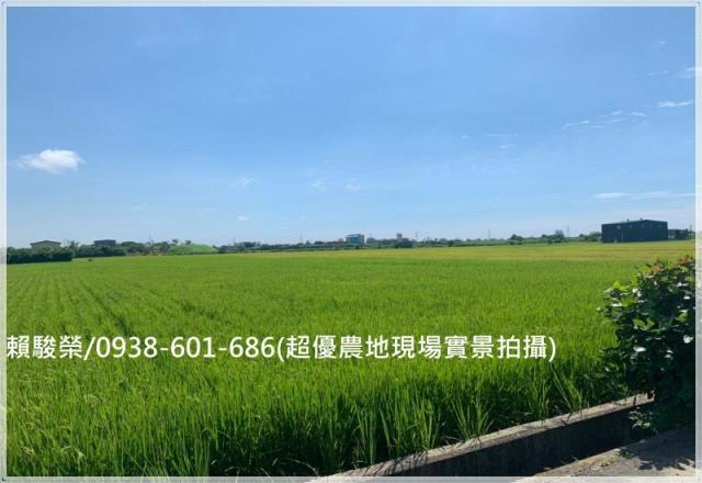 新屋華興路超值美農地