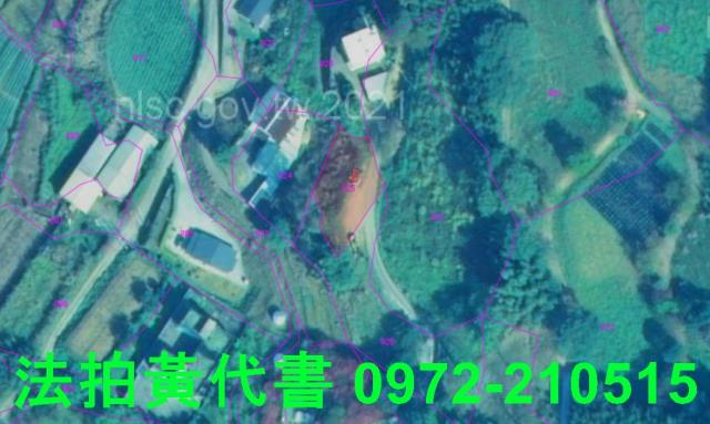 苗栗法拍建地-10