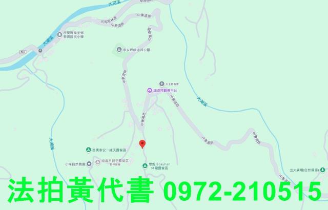 苗栗法拍建地-6