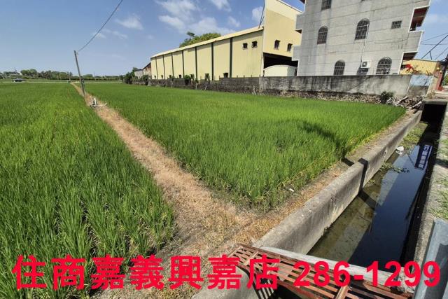嘉義農地-2