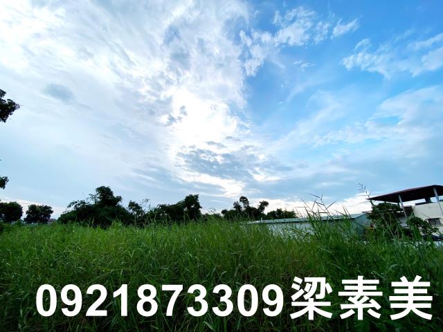 台南農地-6