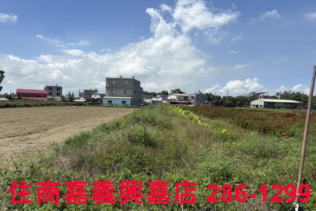 嘉義農地-3