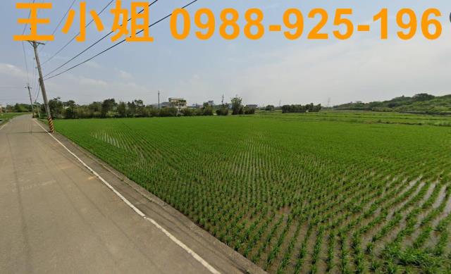 桃園新屋農地-14