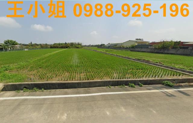 桃園新屋農地-3