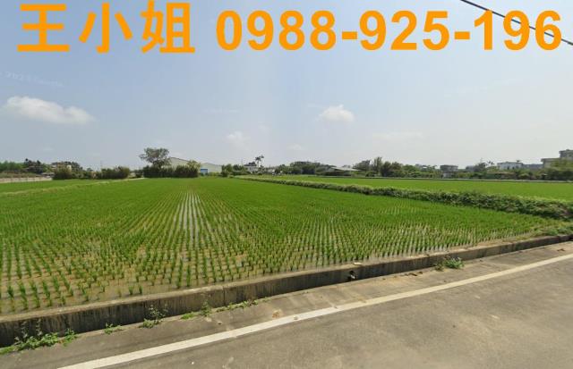 桃園新屋農地-6