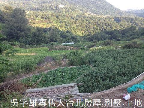 北投農地-2