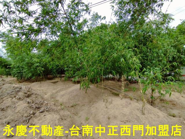 歸仁農地-9