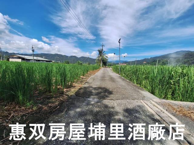 南投埔里農地-1
