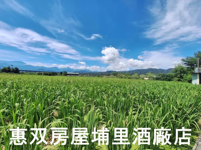 南投埔里農地-2