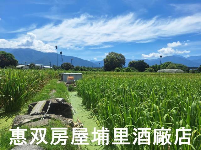 南投埔里農地-3