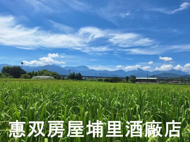 南投埔里農地-4