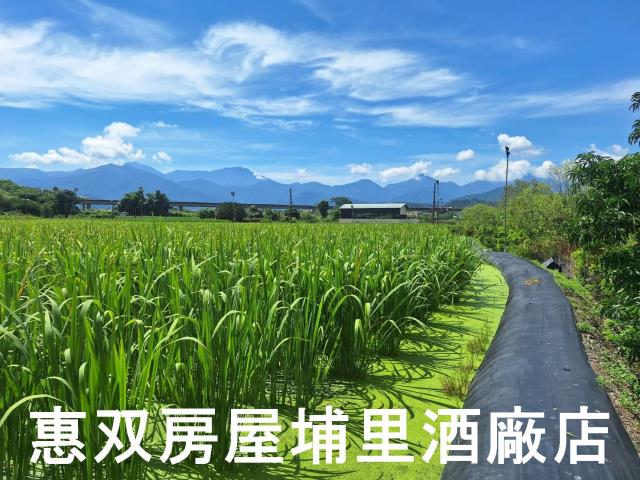 南投埔里農地-5