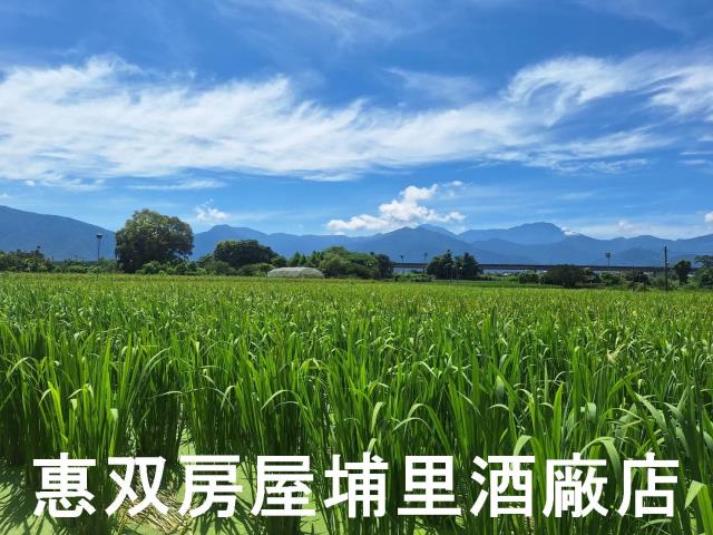 南投埔里農地-6