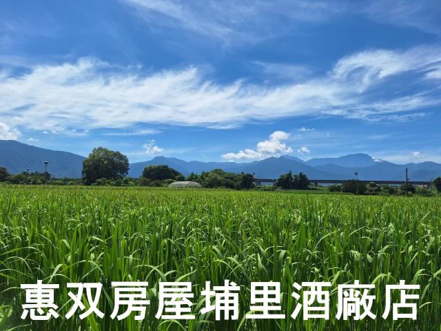 南投埔里農地-0