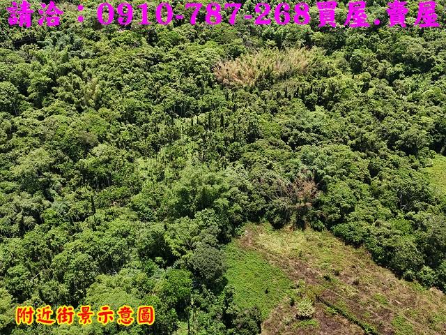 台南白河農地-4