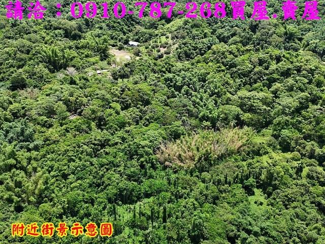 台南白河農地-5