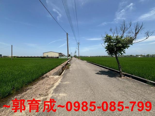 大林農地-6