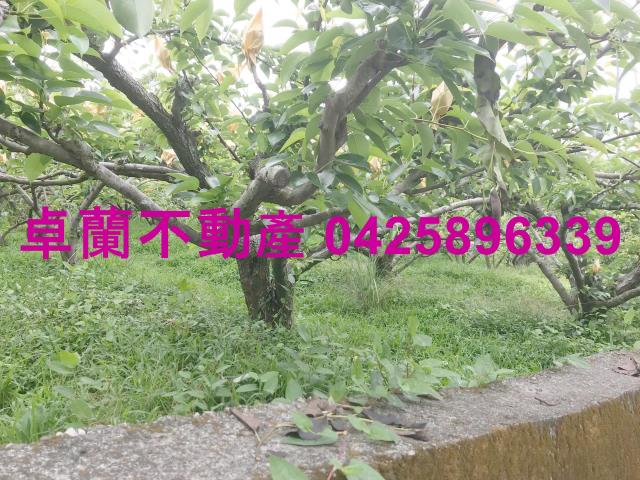 苗栗農地-9